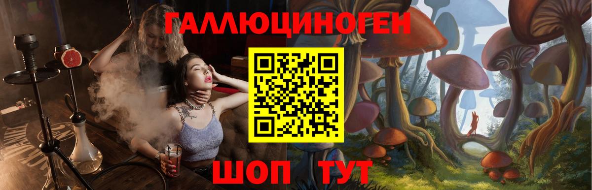 Псилоцибиновые грибы Psilocybe Ижевск